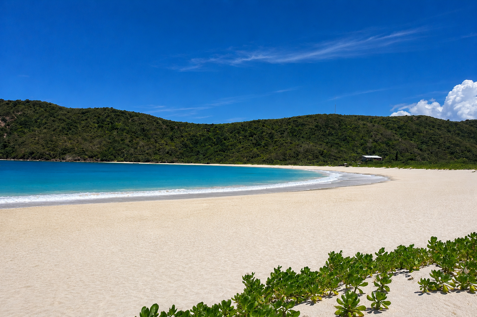 Families enjoying a calm day at Flamenco Beach