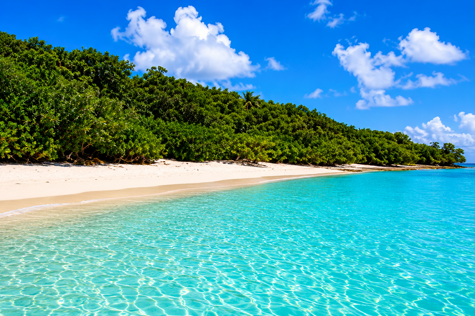 A pristine stretch of white sand at Carlos Rosario meeting crystal-clear turquoise Caribbean water