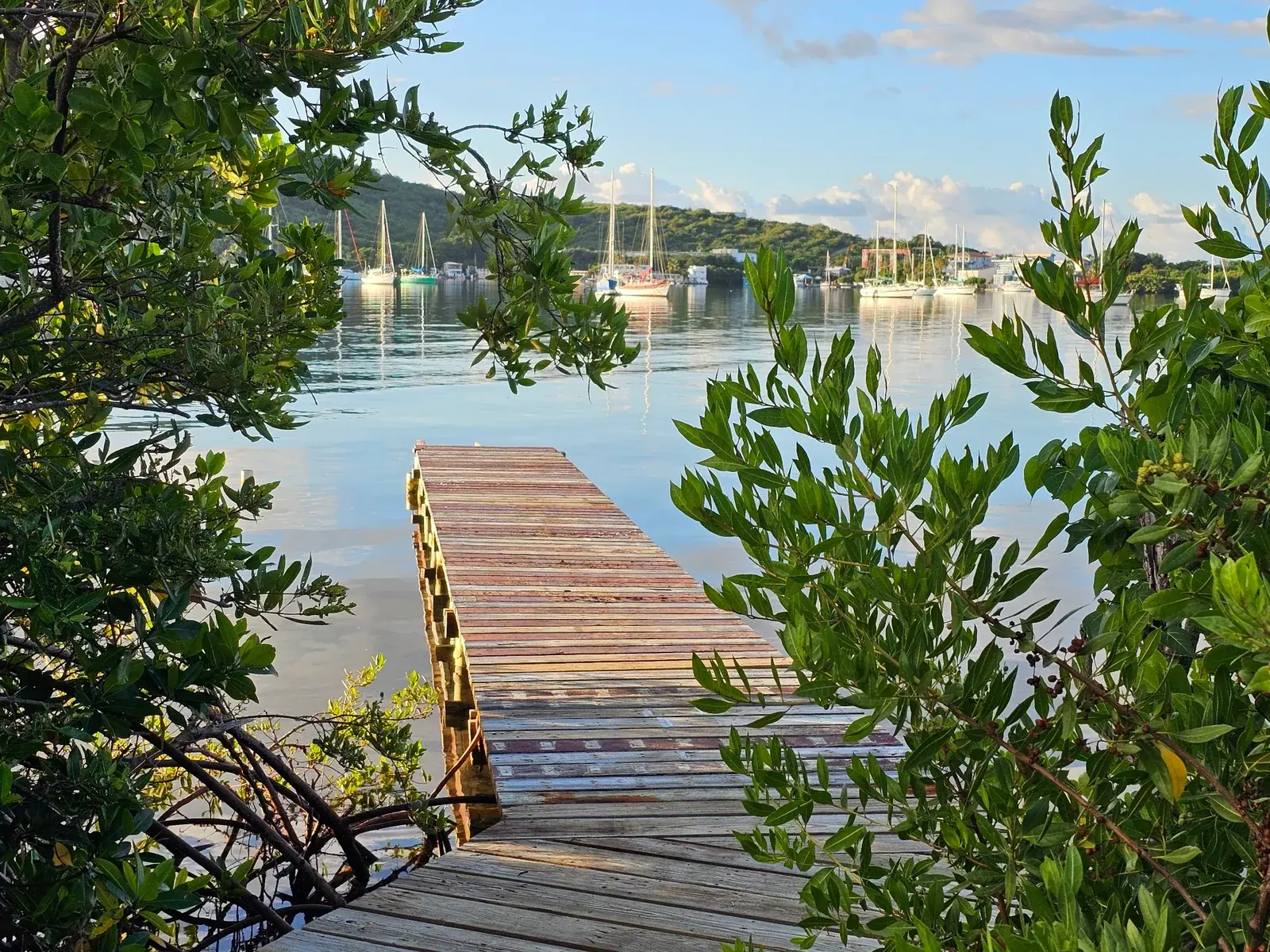 A peaceful wooden dock reaching into calm Culebra waters, framed by mangroves and anchored sailboats