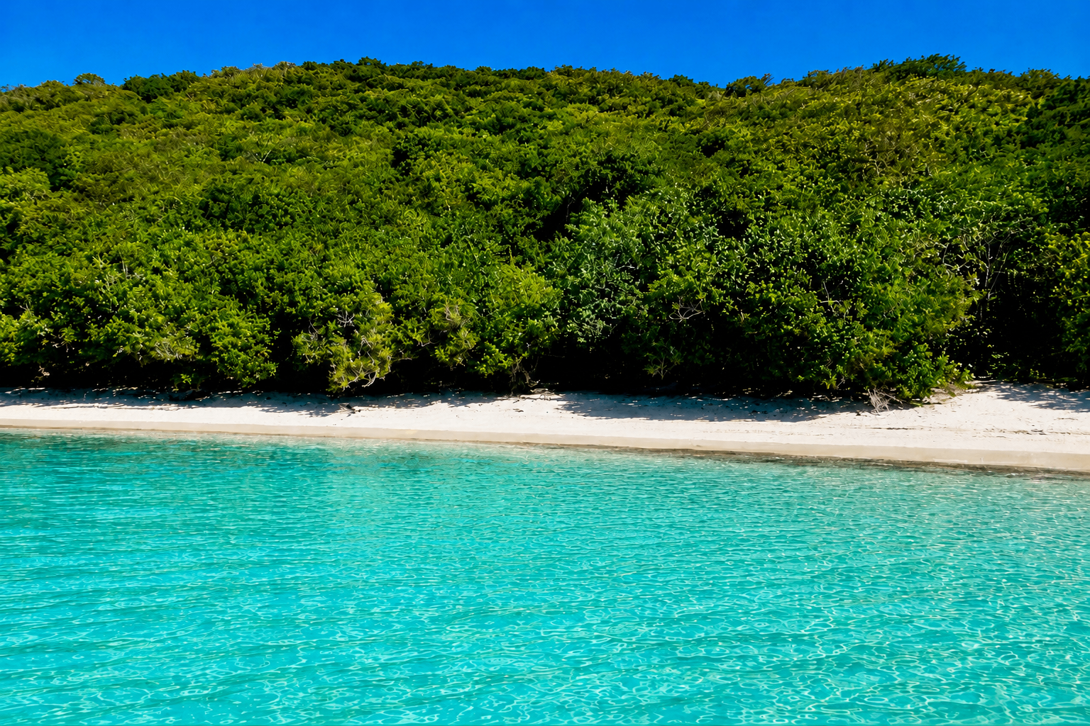 Carlos Rosario Beach
