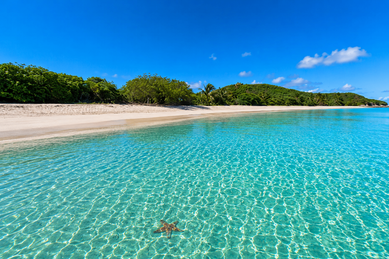 Playa Tortuga on Culebrita — soft white sand and turquoise water on an empty beach
