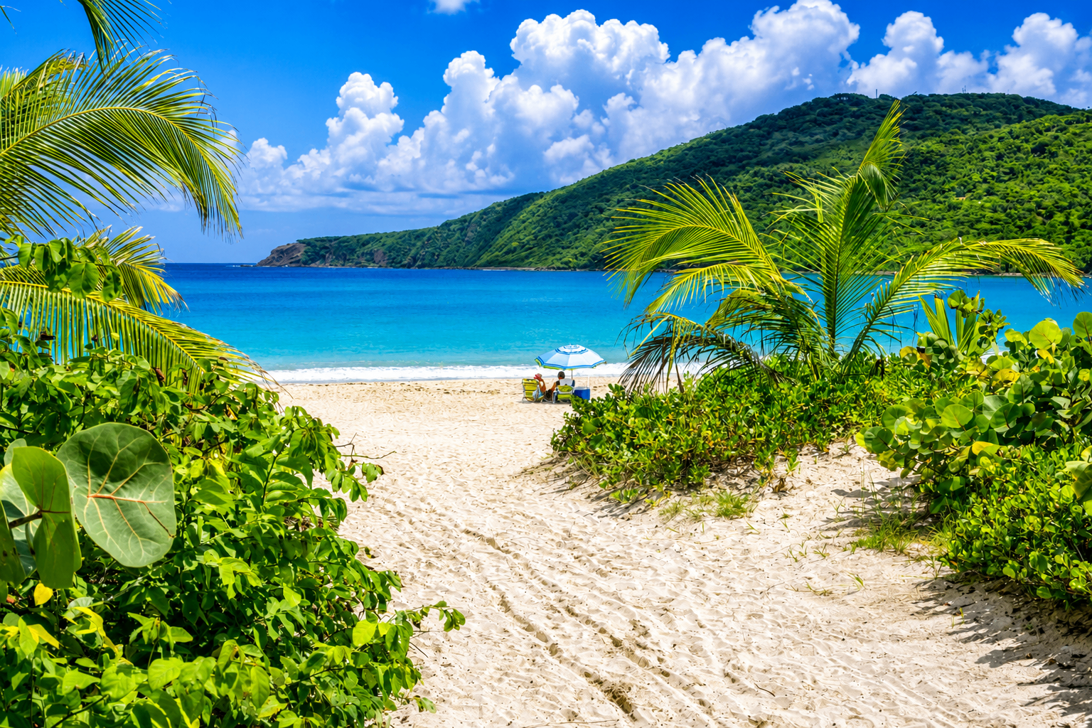 Tents set up under trees behind Flamenco Beach