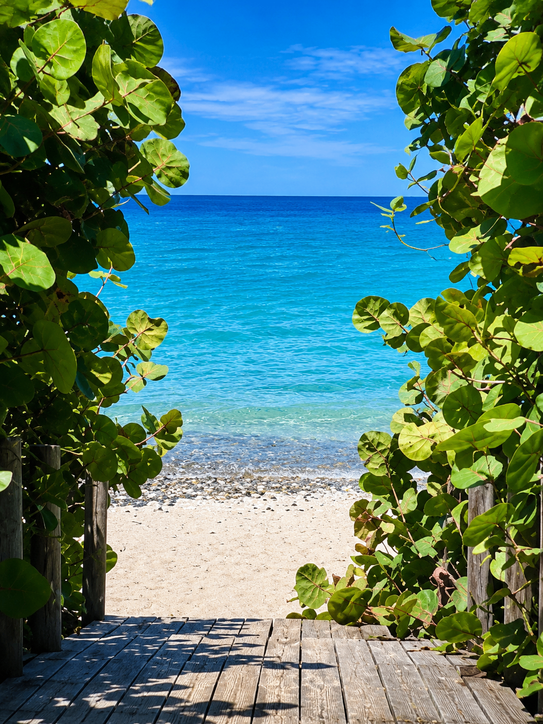 A sandy path framed by sea grape leaves opening onto the calm turquoise water at the far end of Punta Soldado